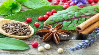 上海桑拿行业发展新趋势：健康、个性化与智能化融合 图片