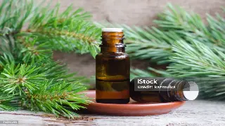 上海桑拿设备大揭秘：选择、保养与未来趋势 图片