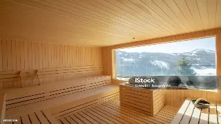 探索桑拿设备的多样性与正确使用方法 图片