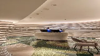 沪上桑拿按摩深度体验：身心舒缓的心得总结与技巧分享 图片