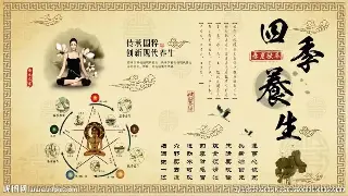 2024上海桑拿的热门趋势：从健康养生到科技升级的秘密